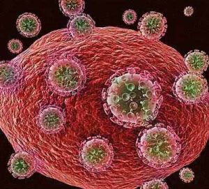 HI-Viren greifen eine menschliche Zelle an. 